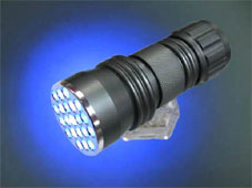 Mini UV 21 LED Torch