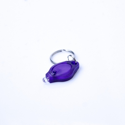 UV Key-chain 1 x LED (Plastic) 395nm